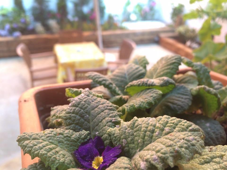 Limon Hostel エディルネ エクステリア 写真